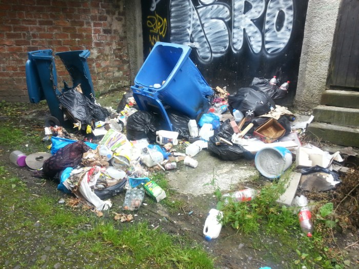 20150705_085938.jpg image