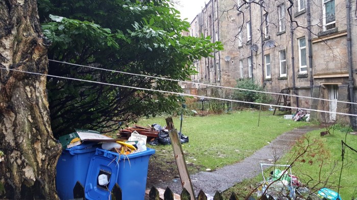 20160208_091001 (Medium)